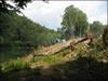 My Gallery: Image